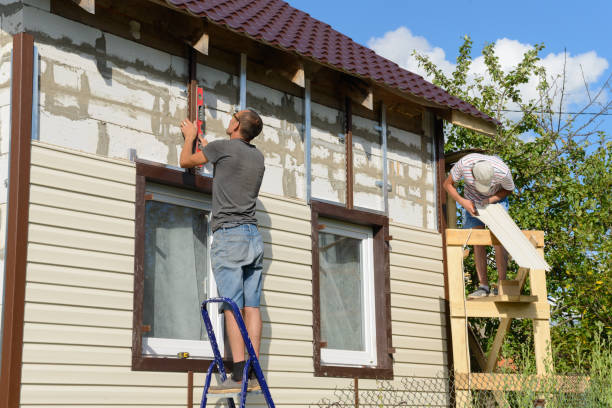 Best Siding Painting and Refinishing  in Goodman, MO