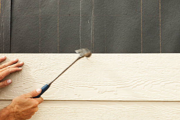 Best Vinyl Siding Installation  in Goodman, MO