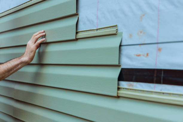 Best Custom Trim and Detailing for Siding  in Goodman, MO